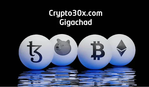 Unleashing the Power of Community with crypto30x.com Gigachad